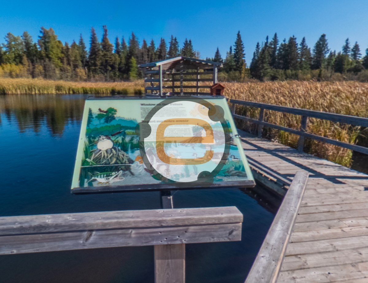 Home | EBrandon, Brandon, Manitoba's Online Community