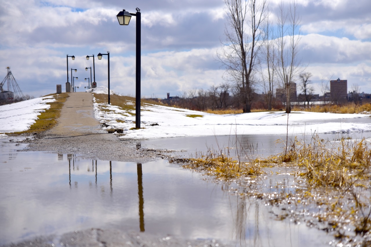 If gallery images do not show and you have accessed this link via social media, please use your device's web browser and visit eBrandon direct to access this gallery!