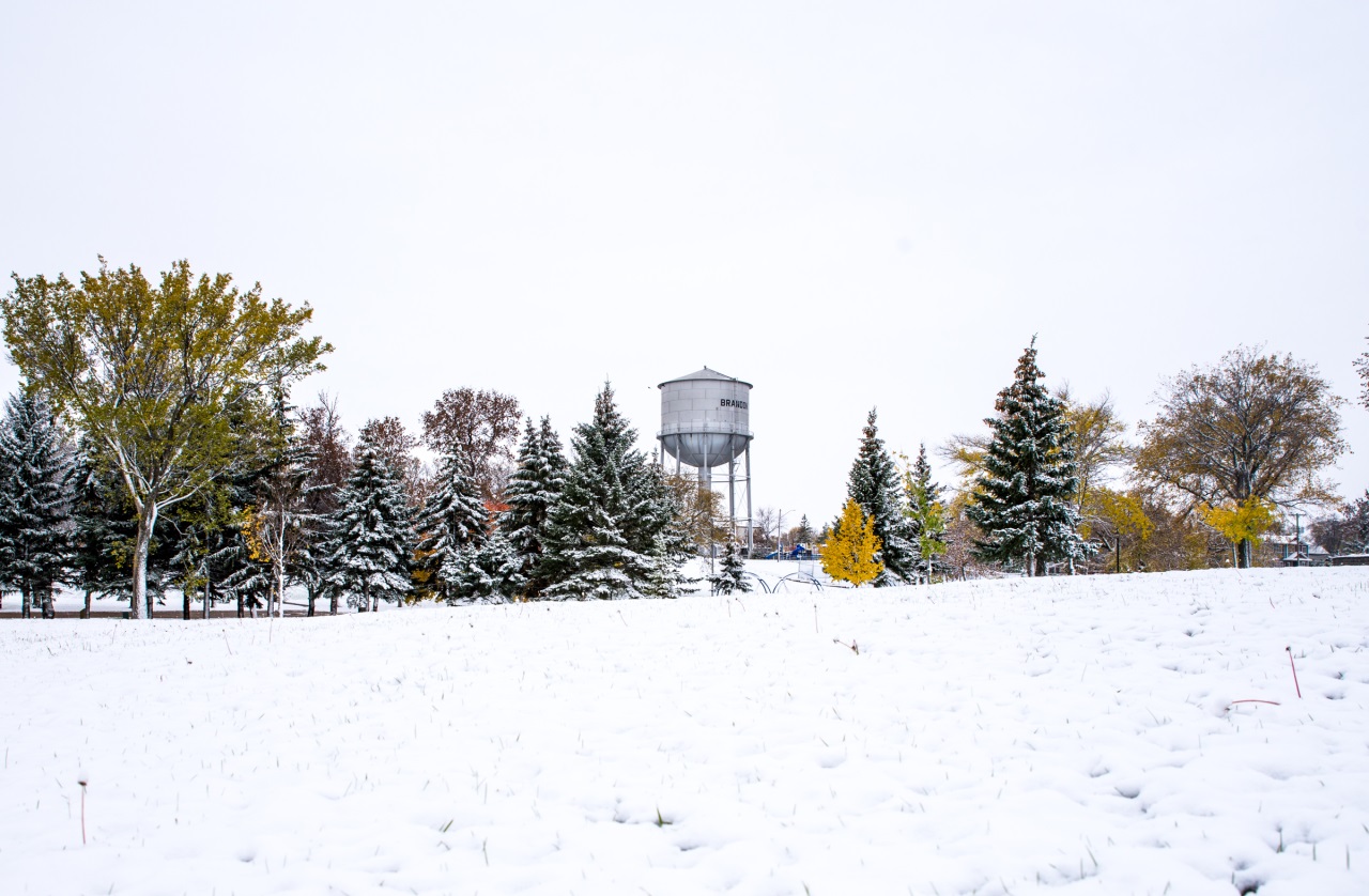 If gallery images do not show and you have accessed this link via social media, please use your device's web browser and visit eBrandon direct to access this gallery!