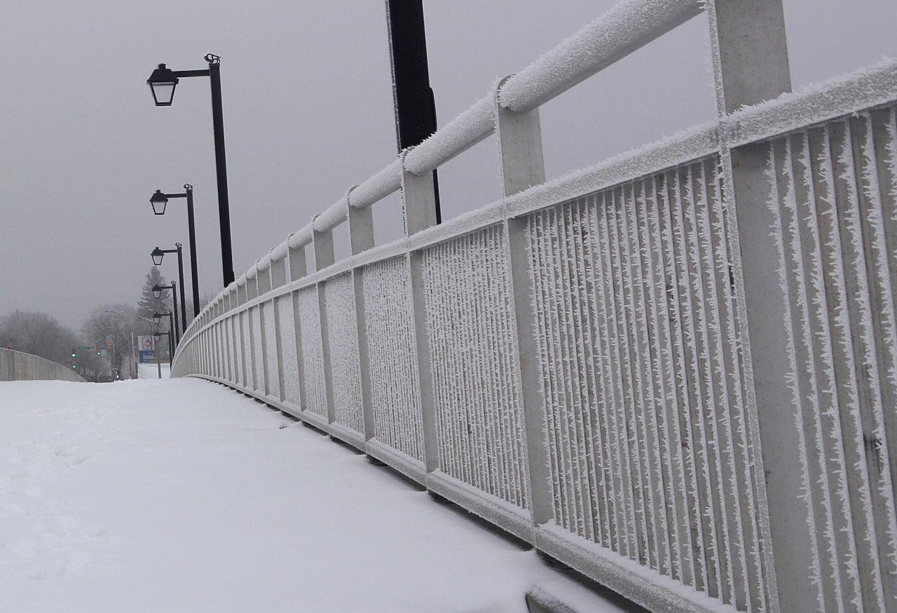 If gallery images do not show and you have accessed this link via social media, please use your device's web browser and visit eBrandon direct to access this gallery!