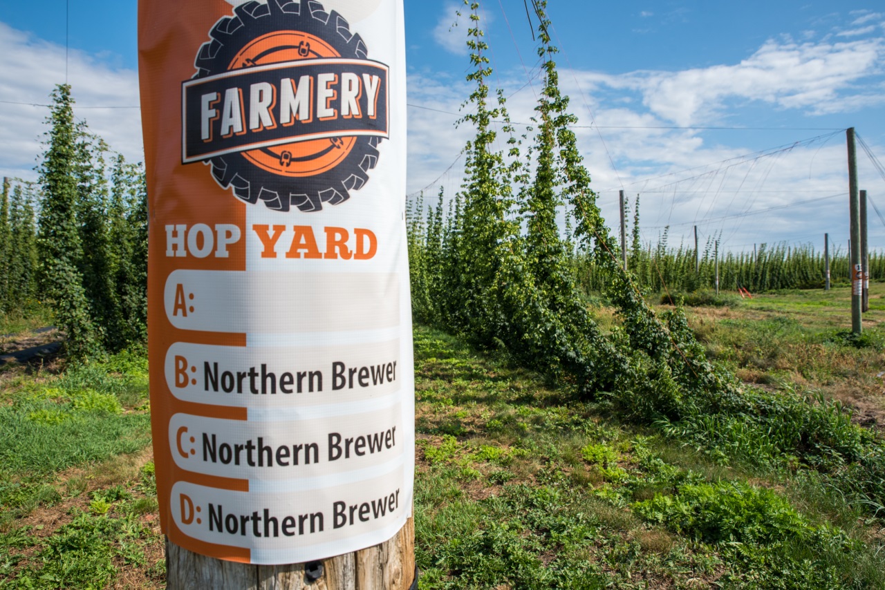 If gallery images do not show and you have accessed this link via social media, please use your device's web browser and visit eBrandon direct to access this gallery!