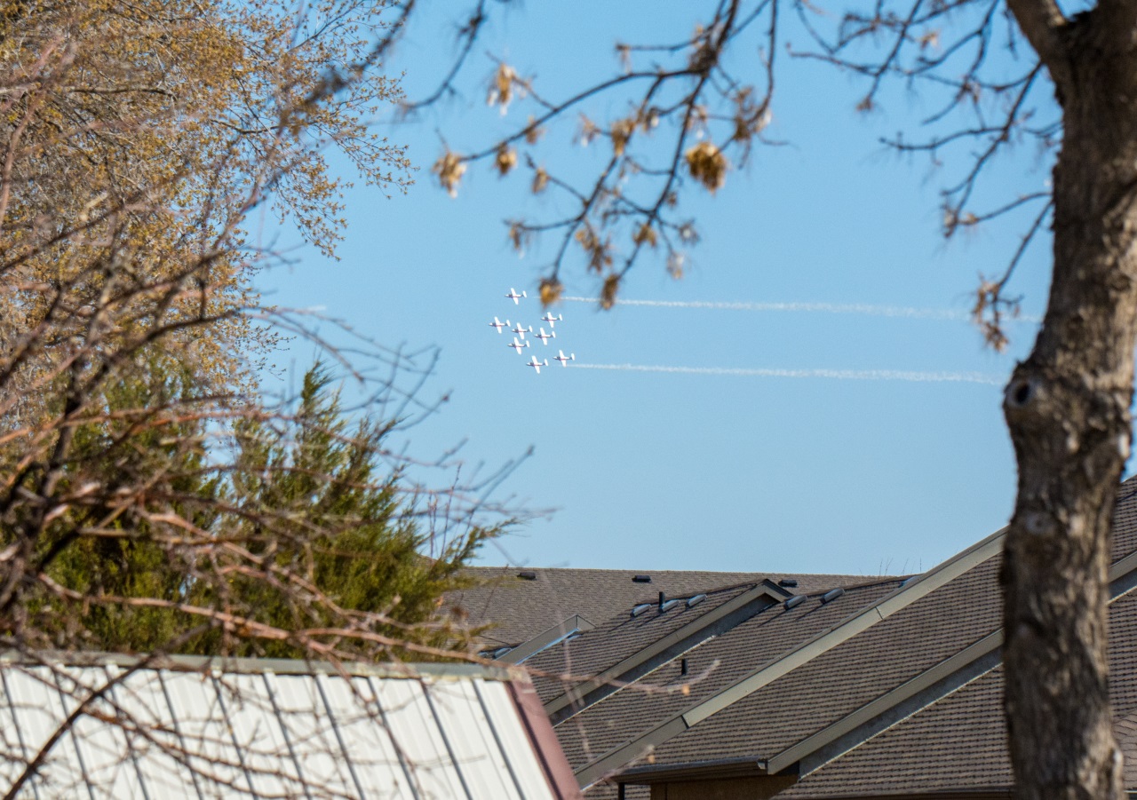 If gallery images do not show and you have accessed this link via social media, please use your device's web browser and visit eBrandon direct to access this gallery!