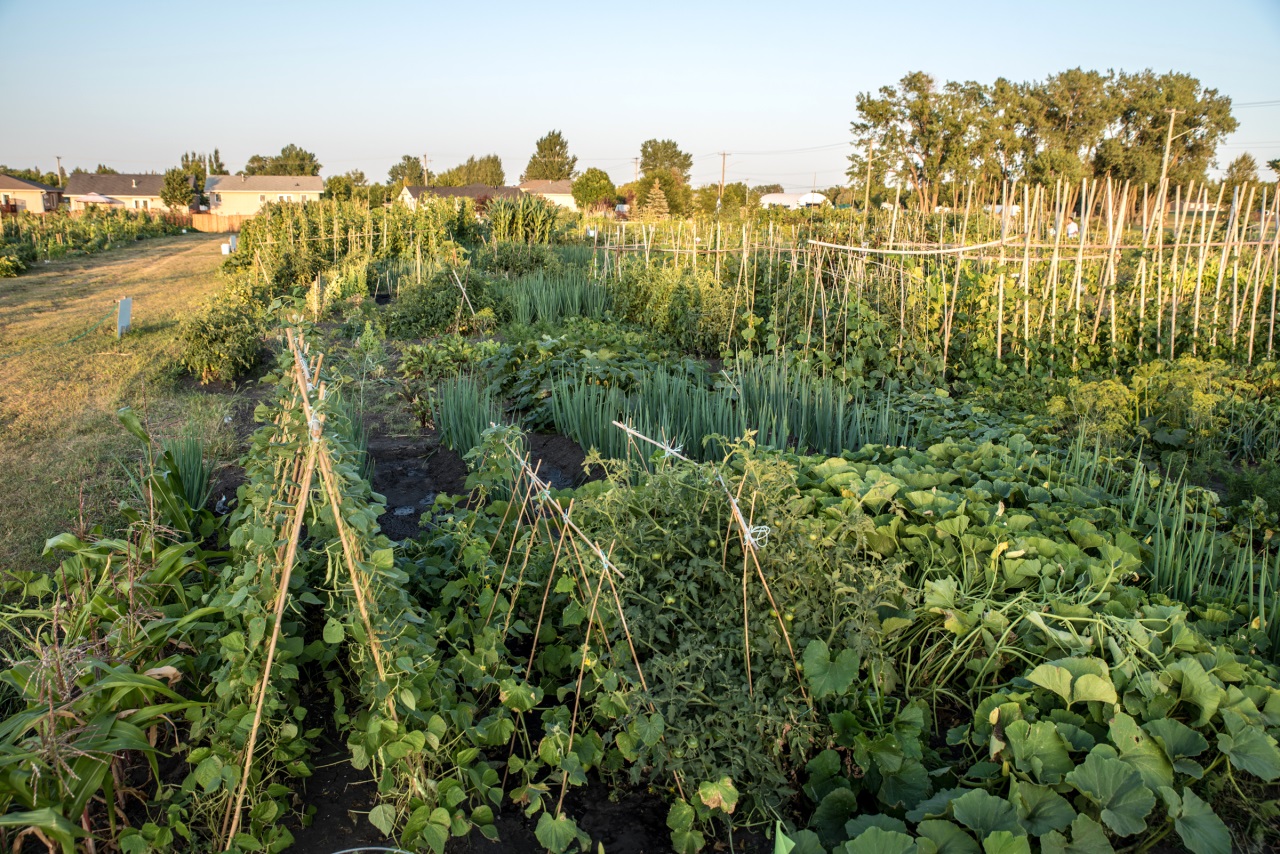 If gallery images do not show and you have accessed this link via social media, please use your device's web browser and visit eBrandon direct to access this gallery!