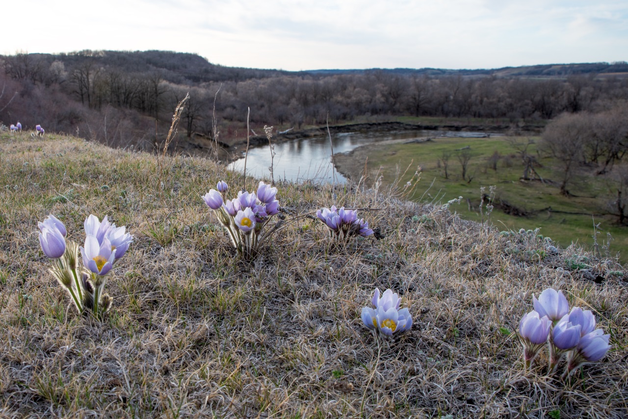 If gallery images do not show and you have accessed this link via social media, please use your device's web browser and visit eBrandon direct to access this gallery!