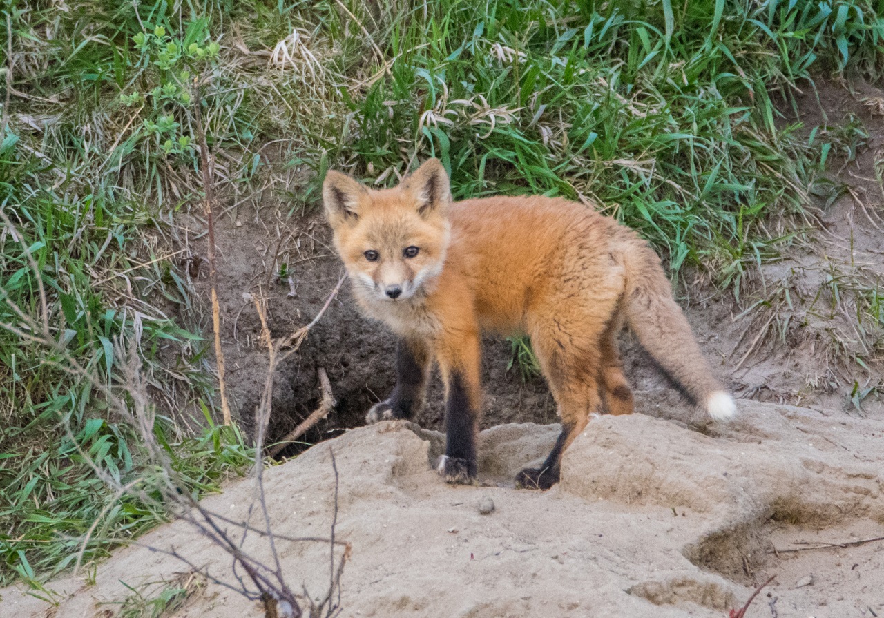 If gallery images do not show and you have accessed this link via social media, please use your device's web browser and visit eBrandon direct to access this gallery!