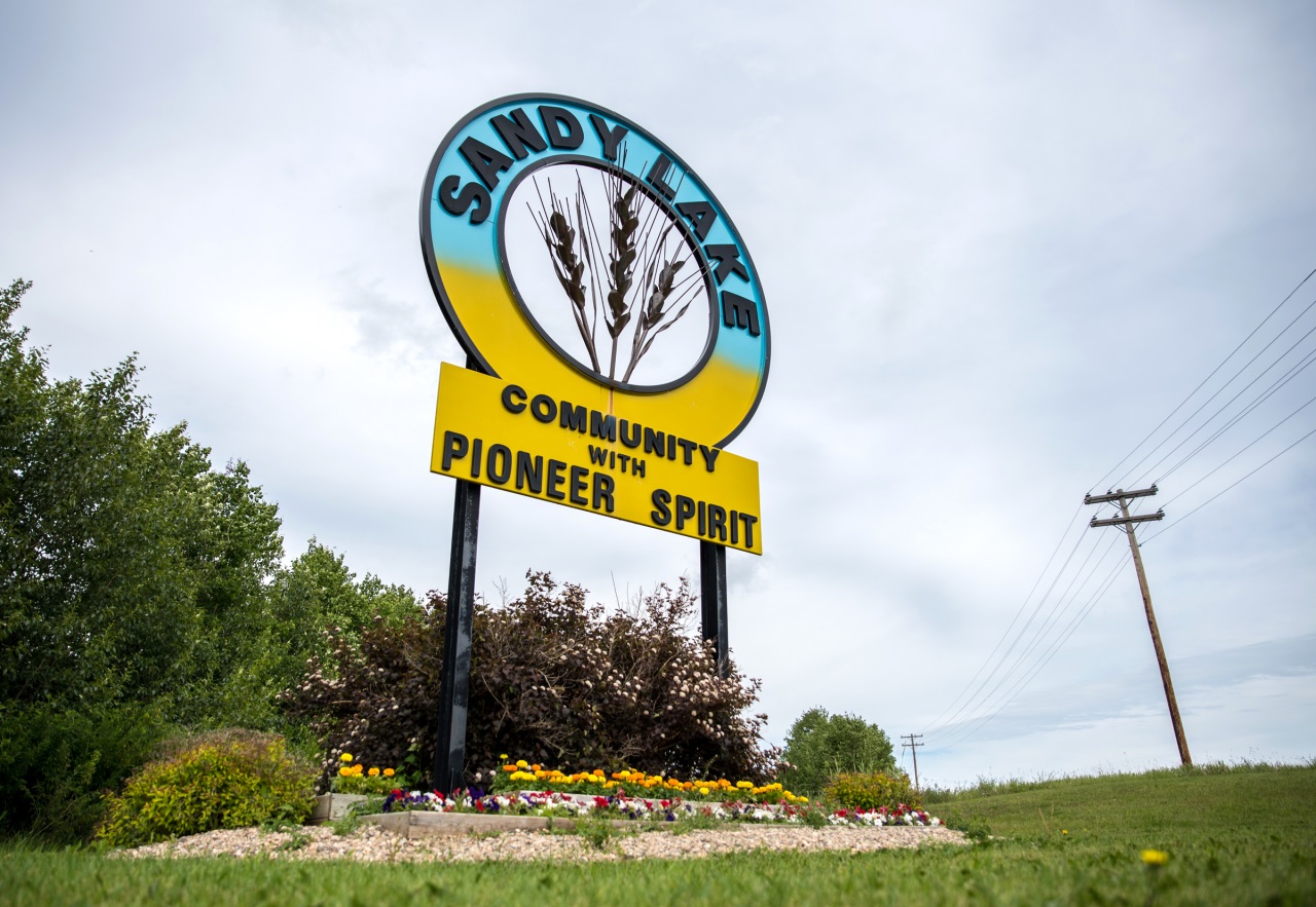 If gallery images do not show and you have accessed this link via social media, please use your device's web browser and visit eBrandon direct to access this gallery!