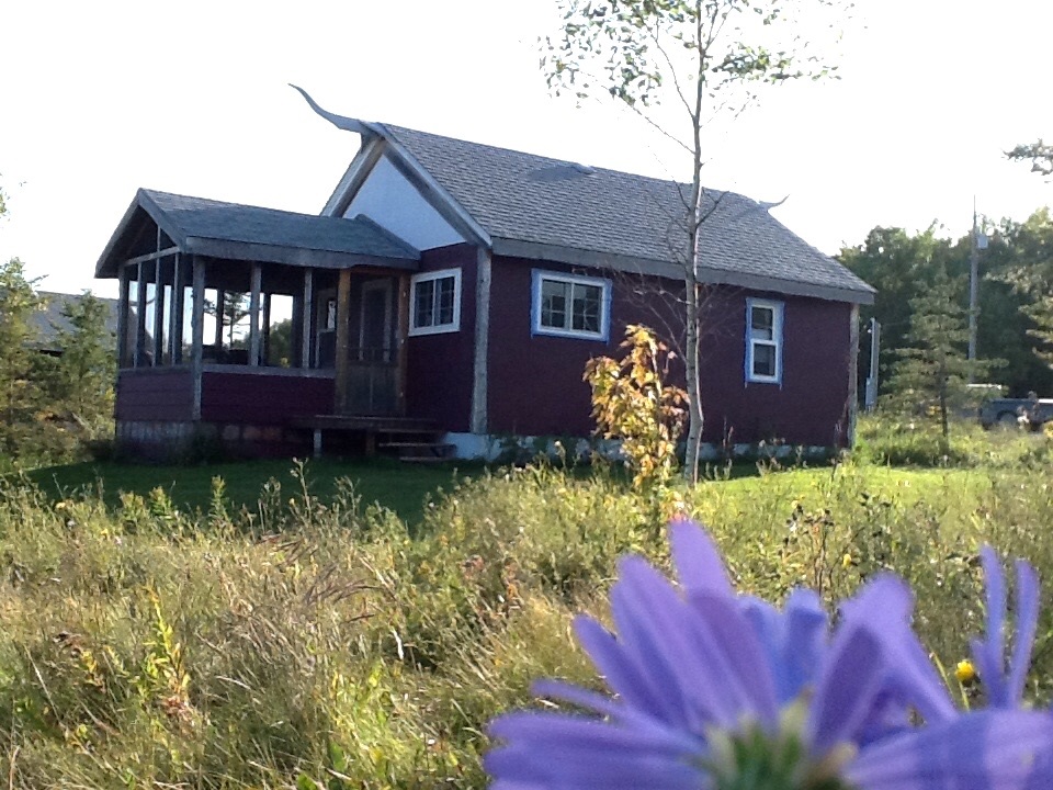 If gallery images do not show and you have accessed this link via social media, please use your device's web browser and visit eBrandon direct to access this gallery!