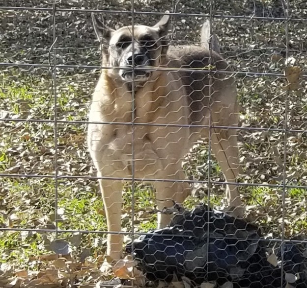 If gallery images do not show and you have accessed this link via social media, please use your device's web browser and visit eBrandon direct to access this gallery!